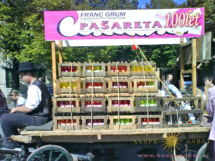 pašareta na vozu