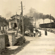 Žusterna