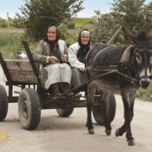 Šavrinki na vozu okoli leta 1952. Pobarvana črno bela slika. šavrinki na vozu