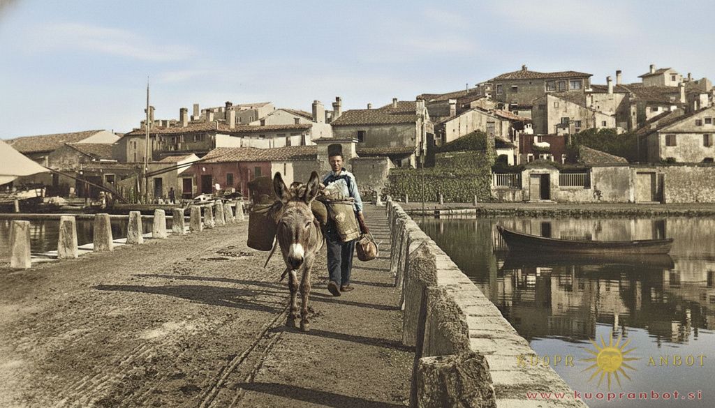 koper 1905