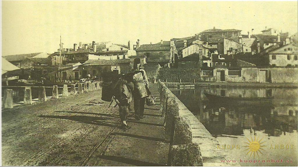 semedelska