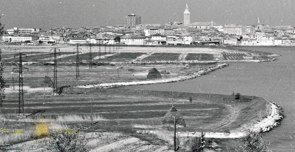 Koper 1960