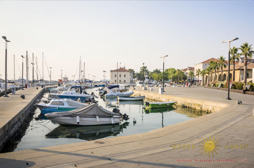 mandrač
