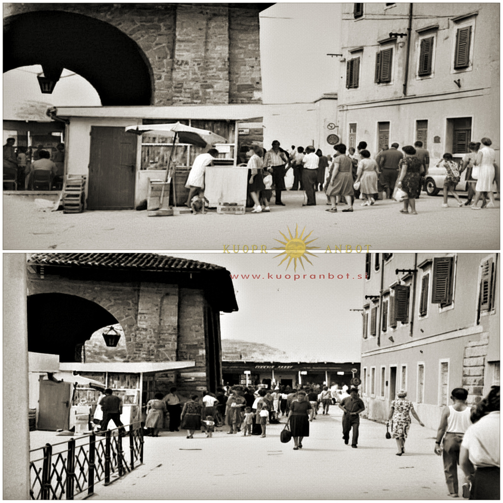 avtobusna