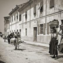 Koper