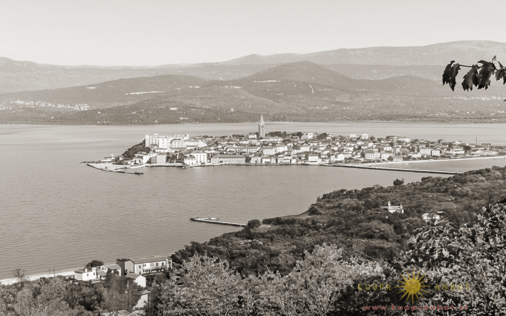 Žusterna