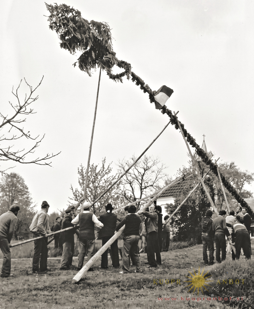 postavljanje mlaja